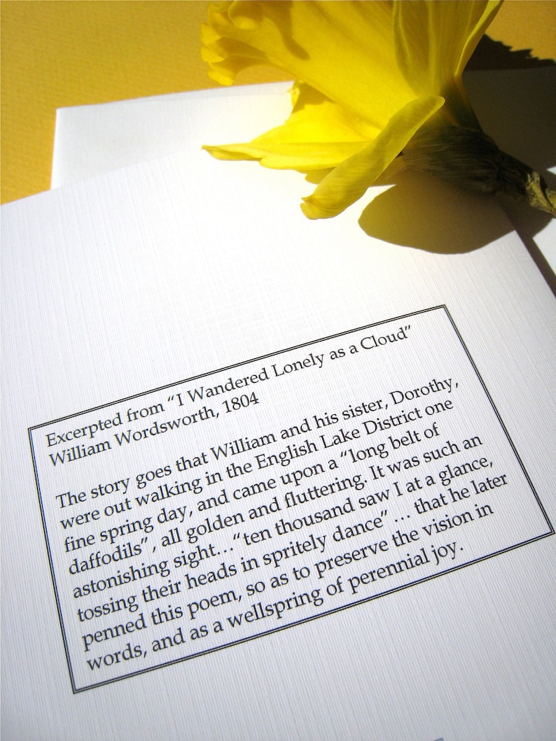 Daffodils Inspirational Card Encouragement, Get Well Card Flowers Poem Wordsworth Daffodils Literary Quote image 2