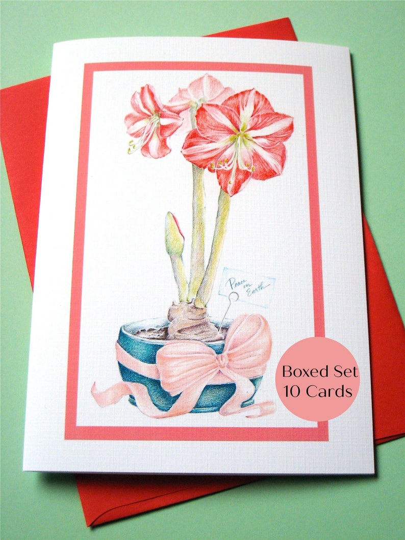 May include: A boxed set of 10 greeting cards featuring a watercolor illustration of a red and white amaryllis plant in a blue pot with a pink bow. The card reads "Peace on Earth".