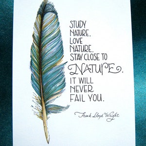 Feather Art Print Nature Quote Frank Lloyd Wright Teal Blue 5x7 Print image 1