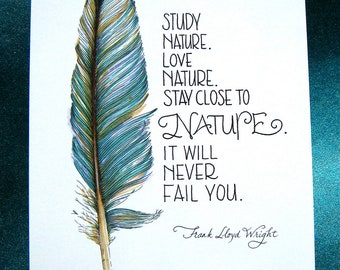 Feather Art Print - Nature Quote - Frank Lloyd Wright - Teal Blue - 5x7 Print