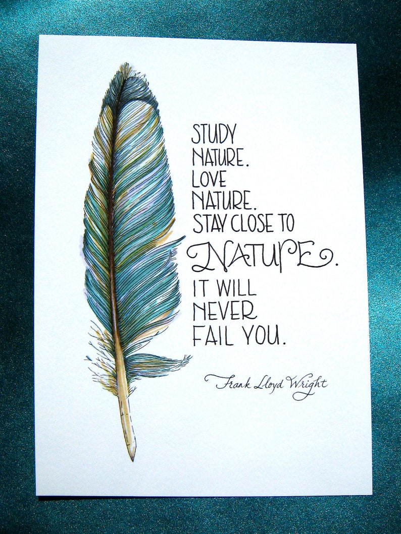 Feather Art Print Nature Quote Frank Lloyd Wright Teal Blue 5x7 Print image 1