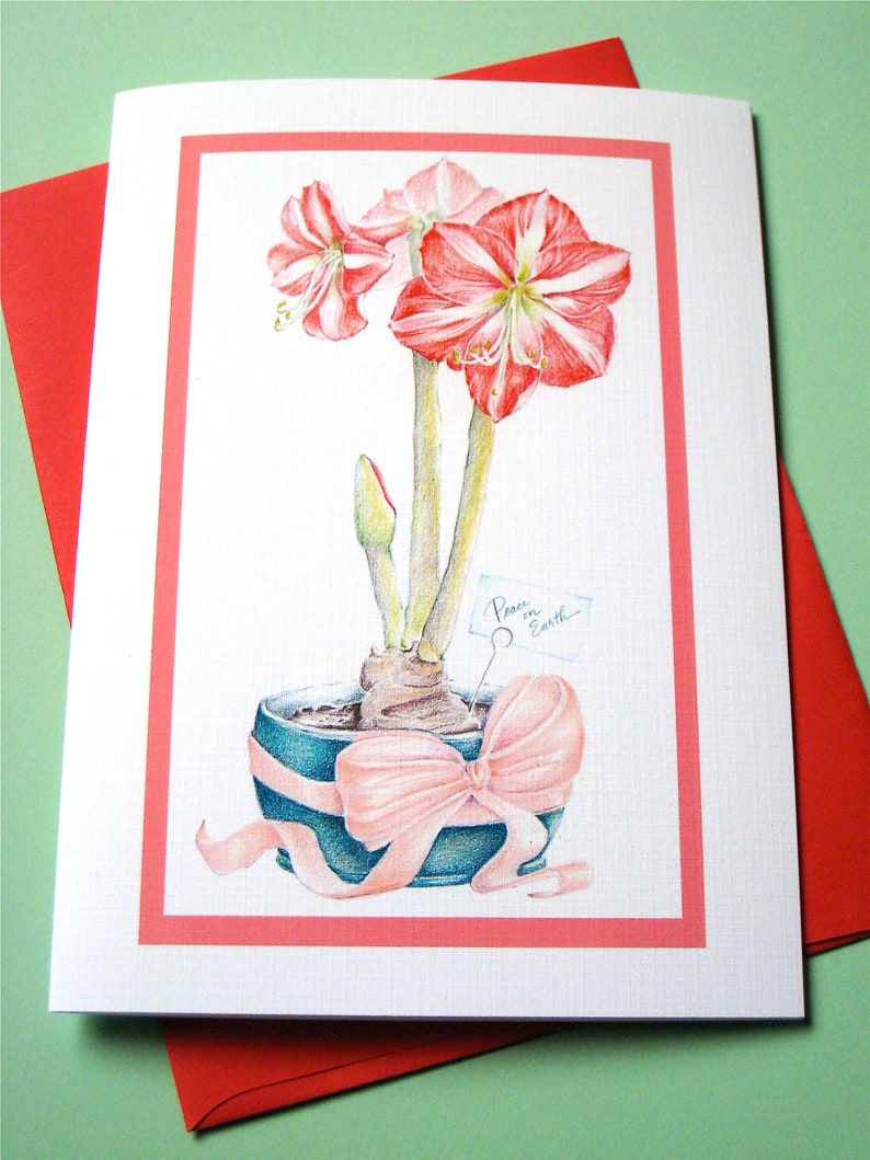 May include: A white card with a red border features a hand-drawn illustration of a potted amaryllis plant with pink flowers and a pink bow. The card has the text "Peace on Earth" written on a small tag.