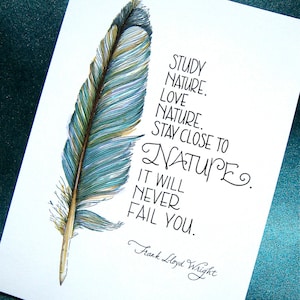 Feather Art Print Nature Quote Frank Lloyd Wright Azul azul azul Impresión 5x7 imagen 2