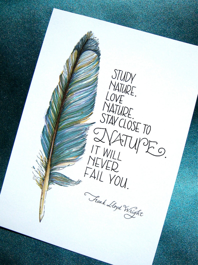 Feather Art Print Nature Quote Frank Lloyd Wright Teal Blue 5x7 Print image 2
