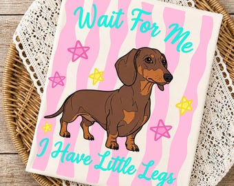 Könnte beinhalten: Leinwanddruck mit einem braunen Dackel und dem Text "Wait For Me I Have Little Legs" in Türkis. Der Hintergrund hat rosa und weiße Streifen mit Sternakzenten. Der Druck ist auf weißem Hintergrund.