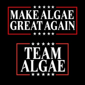 Könnte beinhalten: Ein schwarzes Grafikdesign mit zwei rechteckigen Rahmen mit roten Rändern und weißen Sternen. Der obere Rahmen enthält den weißen Text MAKE ALGAE GREAT AGAIN, und der untere Rahmen enthält den weißen Text TEAM ALGAE in einer fetten Serifenschrift.