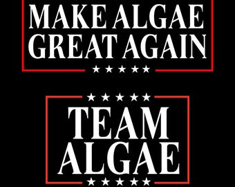 Könnte beinhalten: Ein schwarzes Grafikdesign mit zwei rechteckigen Rahmen mit roten Rändern und weißen Sternen. Der obere Rahmen enthält den weißen Text MAKE ALGAE GREAT AGAIN, und der untere Rahmen enthält den weißen Text TEAM ALGAE in einer fetten Serifenschrift.