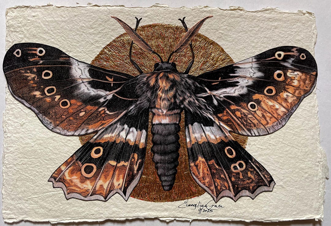 The Seer Moth – Original Collage on Embossed Gold Leaf, 6x9 | Gilded ...