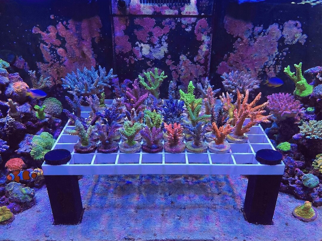 Vibrant Dog Crate Risers Reference: Coral Axis Eggcrate Risers