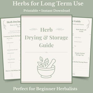 Puede incluir: Una guía imprimible para secar y almacenar hierbas con un fondo verde claro. La guía incluye instrucciones para secar y conservar hierbas. El texto incluye "How to Dry, Preserve, and Store Herbs for Long Term Use".