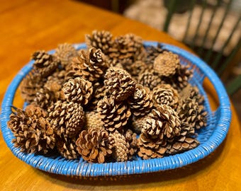 Sanitized Pine Cones (Set of 10) - Fall & Christmas Crafts