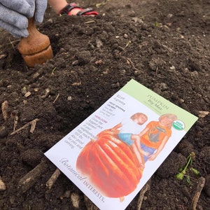 Fête des Mères Planteur de jardin Planteur Planteur Bois de chêne tourné à la main Outil de jardinage artisanal Cadeau pour maman Jardin de printemps Outils image 5