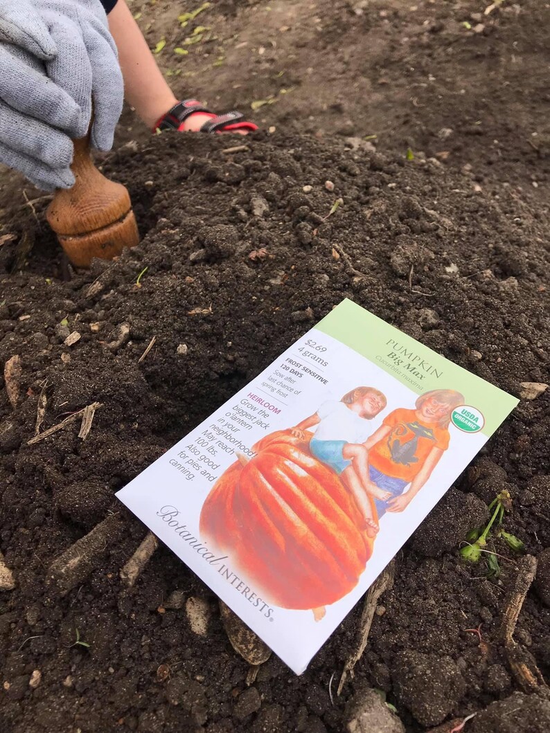 Fête des Mères Planteur de jardin Planteur Planteur Bois de chêne tourné à la main Outil de jardinage artisanal Cadeau pour maman Jardin de printemps Outils image 5