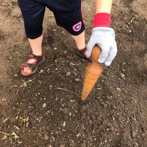 Fête des Mères Planteur de jardin Planteur Planteur Bois de chêne tourné à la main Outil de jardinage artisanal Cadeau pour maman Jardin de printemps Outils image 6