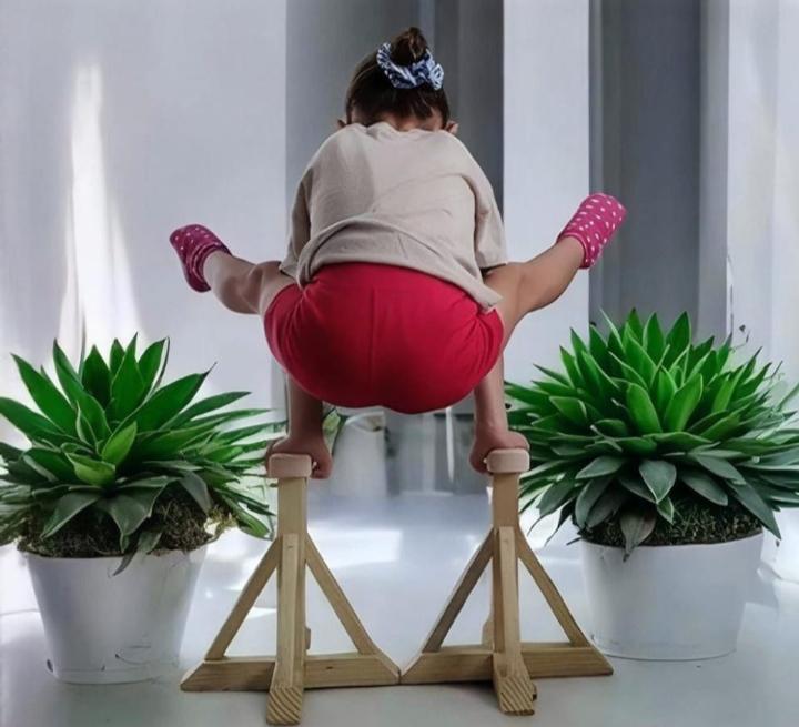 倒立ケーン　サーカス　ハンドスタンド トレーニング Handstand canes - Etsy 日本
