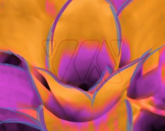 Orange and Purple Bromeliad Print - Available on canvas, paper, or metal