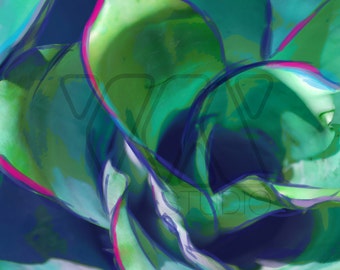 Blue Bromeliad Print - Available on paper, canvas, or metal