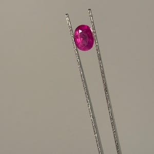 Peut inclure: Une pierre précieuse rose de taille ovale, maintenue fermement entre les pointes d'une longue pince en métal argenté à la texture granuleuse. La pierre présente une surface à facettes qui reflète la lumière, révélant une teinte magenta intense.