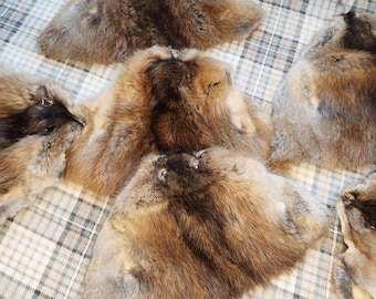 Soft tanned Muskrat faces