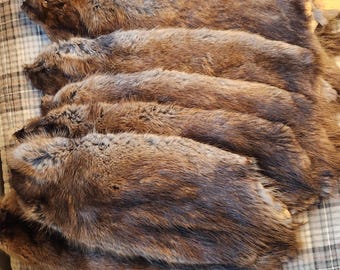 Soft tanned muskrat