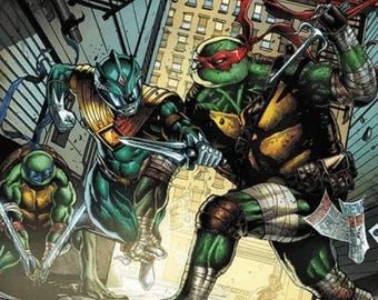 Power Rangers Teenage mutant ninja turtles #1 Jimbo variant