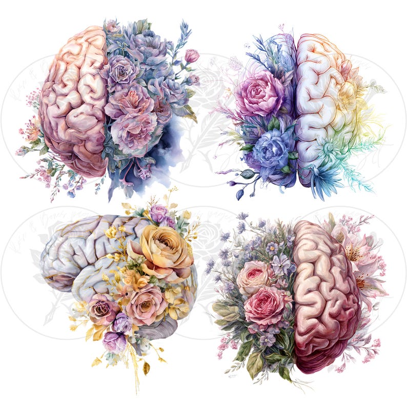 Anatomical Floral Brain Clipart Bundle • Botanical Anatomy Art (12 Pngs ...