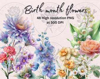Birth Month Flowers PNG Clipart