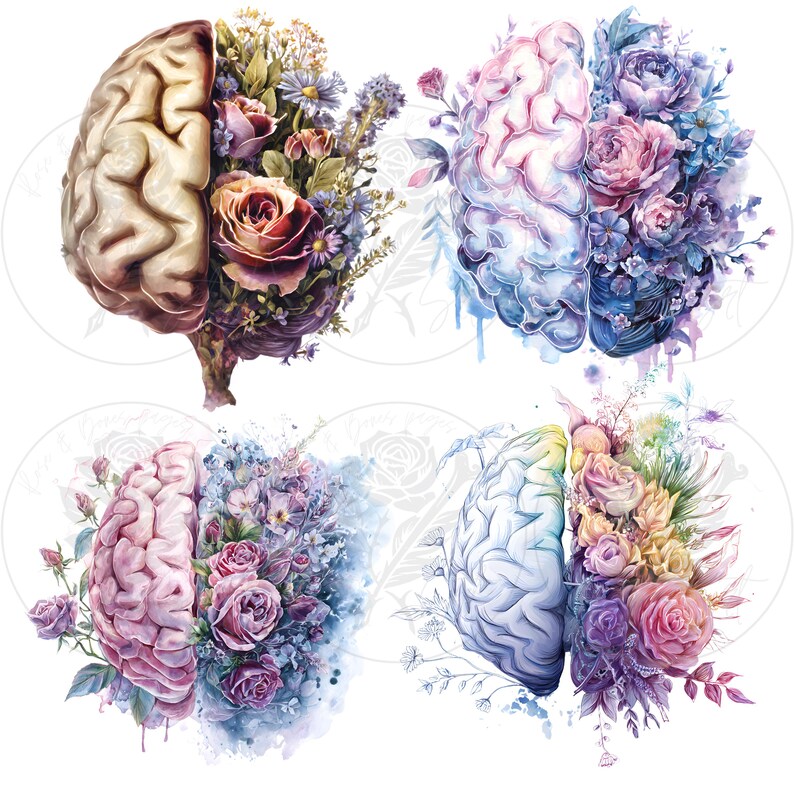 Anatomical Floral Brain Clipart Bundle • Botanical Anatomy Art (12 Pngs ...