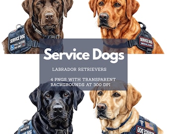 Service Dog Labrador Clip Art, 4 PNG Graphics (Digital Download)