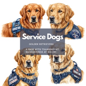 Puede incluir: Cuatro ilustraciones digitales de Golden Retrievers con chalecos de perro de servicio azul marino. Los chalecos tienen las palabras "Service Dog" y "Medical Alert" impresas. La imagen también incluye el texto "Service Dogs" y "Golden Retrievers".