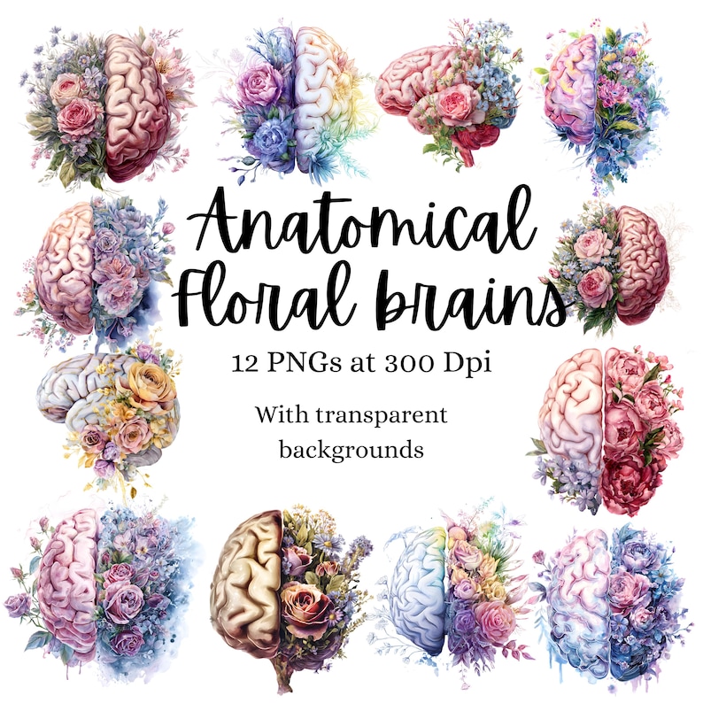 Anatomical Floral Brain Clipart Bundle • Botanical Anatomy Art (12 Pngs ...