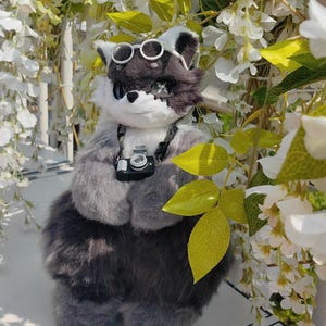May include: A plush raccoon toy with sunglasses and a miniature camera around its neck. The raccoon is gray and white with a fluffy texture. It is set against a backdrop of white flowers and green leaves.