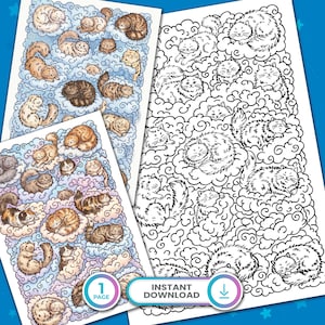 Puede incluir: Tres páginas para colorear con ilustraciones de gatos en varias poses, anidados entre nubes. Una página está coloreada con tonos marrones, naranjas y grises. La otra es un dibujo lineal en blanco y negro. Las páginas tienen el texto "Instant Download".