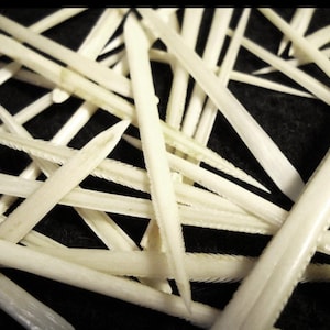 May include: A collection of off-white, pointed objects with a textured edge, arranged against a dark backdrop. The objects, possibly bone, are scattered, creating a natural, organic pattern. The image has a close-up perspective.