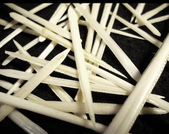 10 púas de raya de origen ético / Fabricación de joyas, Curiosidades del océano