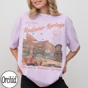 Pu&ograve; includere: Una maglietta lilla chiaro con una grafica di Radiator Springs del film Cars. Il design include un'auto da corsa rossa, uno scenario desertico e il testo "Welcome to Radiator Springs". La maglietta ha anche il testo "California Est. 2017".