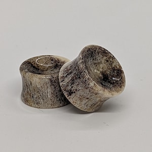 Elk Antler Plugs - Concave - Etsy
