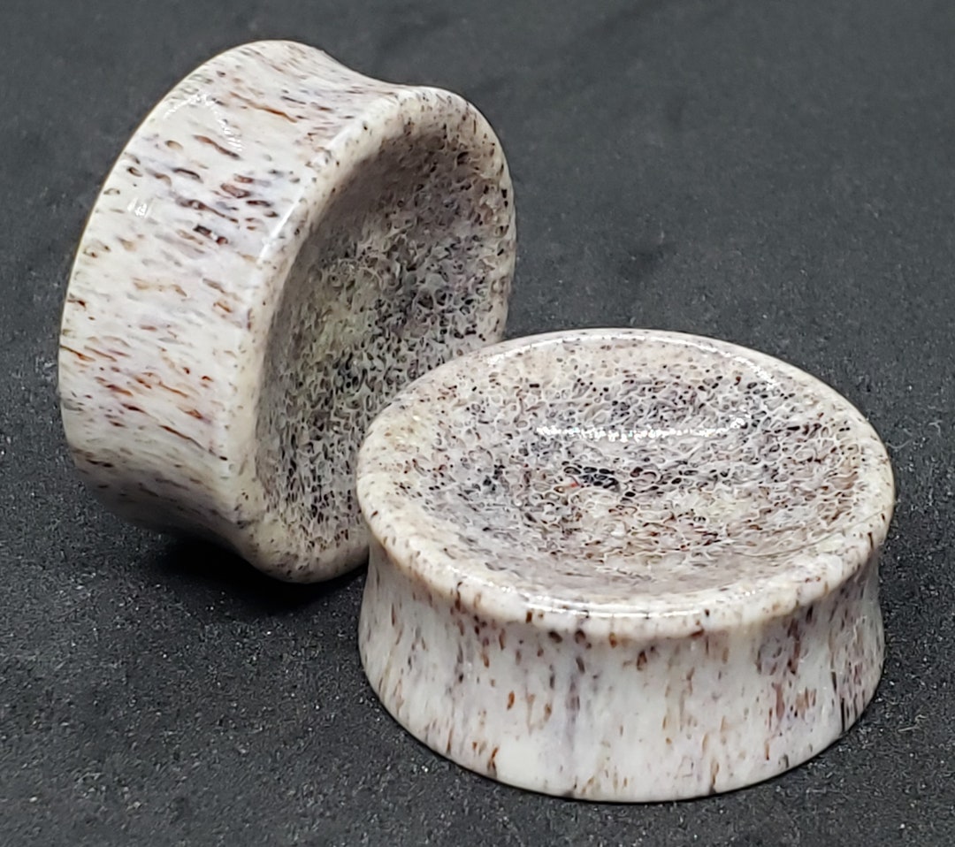 Elk Antler Plugs - Concave - Etsy