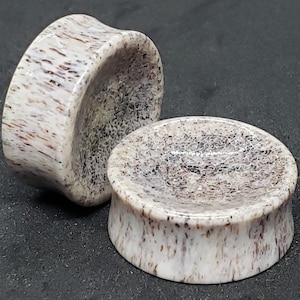 Elch Geweih Plugs - Konkav