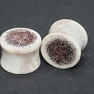 Elk Antler Plugs - Flat