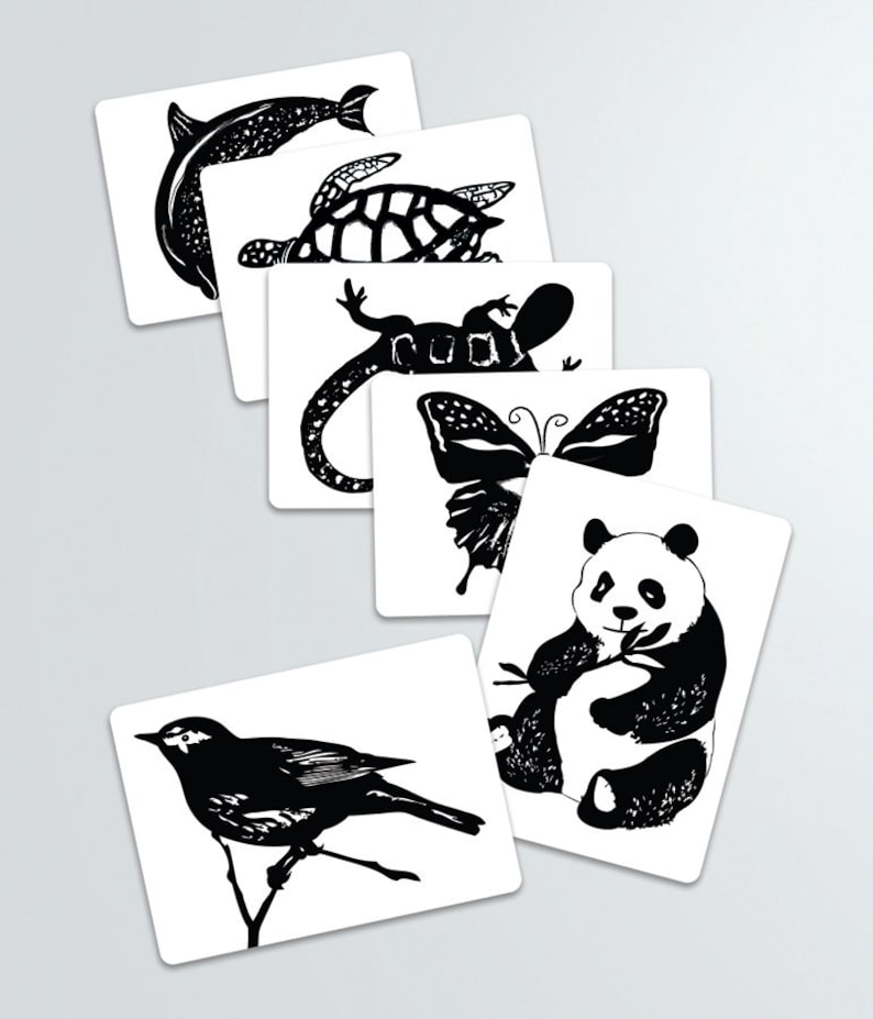 Black and White Contrast Animal Art Cards-Baby shower gift-Infant Stimulation Cards image 3