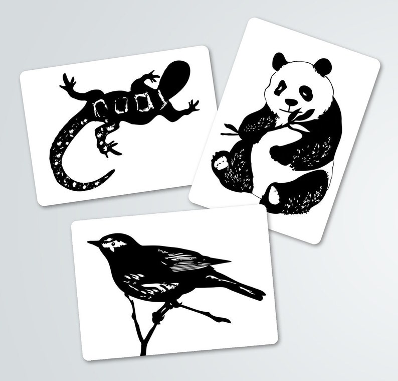 Black and White Contrast Animal Art Cards-Baby shower gift-Infant Stimulation Cards image 4