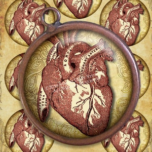 Steampunk Goth Victorian Anatomy Antique Medical Illustration Hearts 2.5 inch Circles Digital Collage, Printables, Instant Download image 1