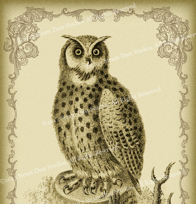 Victorian Goth Antique Owl and Scrollwork - 4x6 Inch Single Digital Image - Instant Download & P