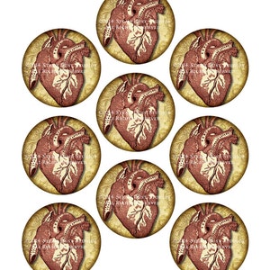 Steampunk Goth Victorian Anatomy Antique Medical Illustration Hearts 2.5 inch Circles Digital Collage, Printables, Instant Download image 2