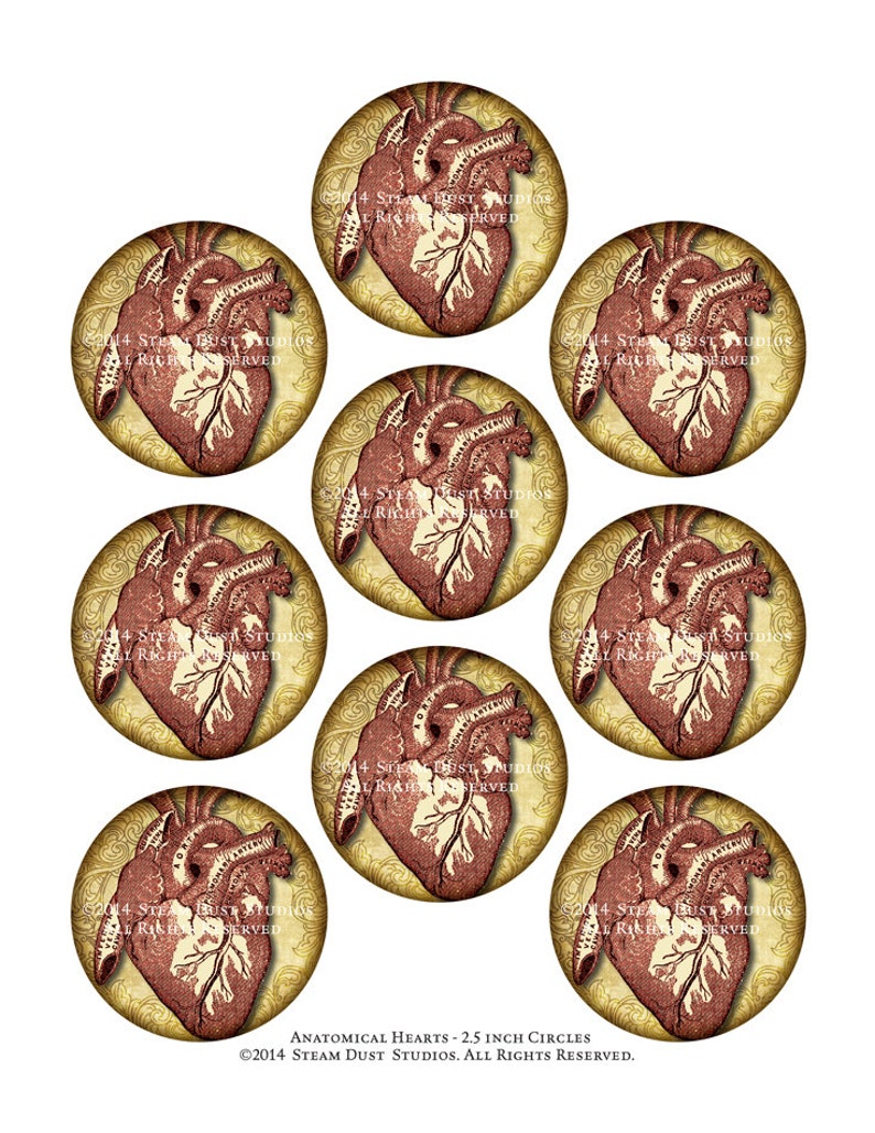 Steampunk Goth Victorian Anatomy Antique Medical Illustration Hearts 2.5 inch Circles Digital Collage, Printables, Instant Download image 2