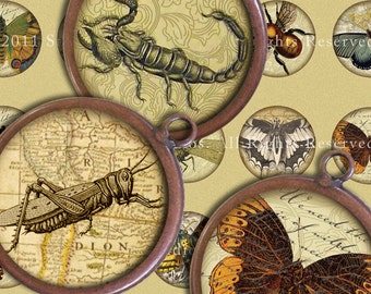 Victorian Entomology with Scrolls, Antique Script, Antique Maps - 32mm Circles - Digital Collage Sheet - Instant Download and Print