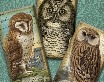 Steampunk Victorian Textured Owls with Antique Maps, Scroll and Script - 1x2 Inch Domino Tiles - Digital Collage Sheet, Steampunk Printables