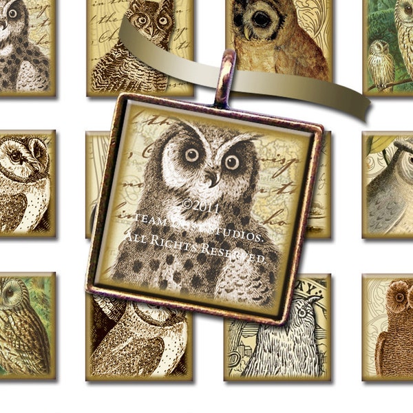 1x1 Inch Squares - Victorian Textured Owls with Antique Maps, Scroll and Script - Digital Collage Sheet - Instant Download & Print