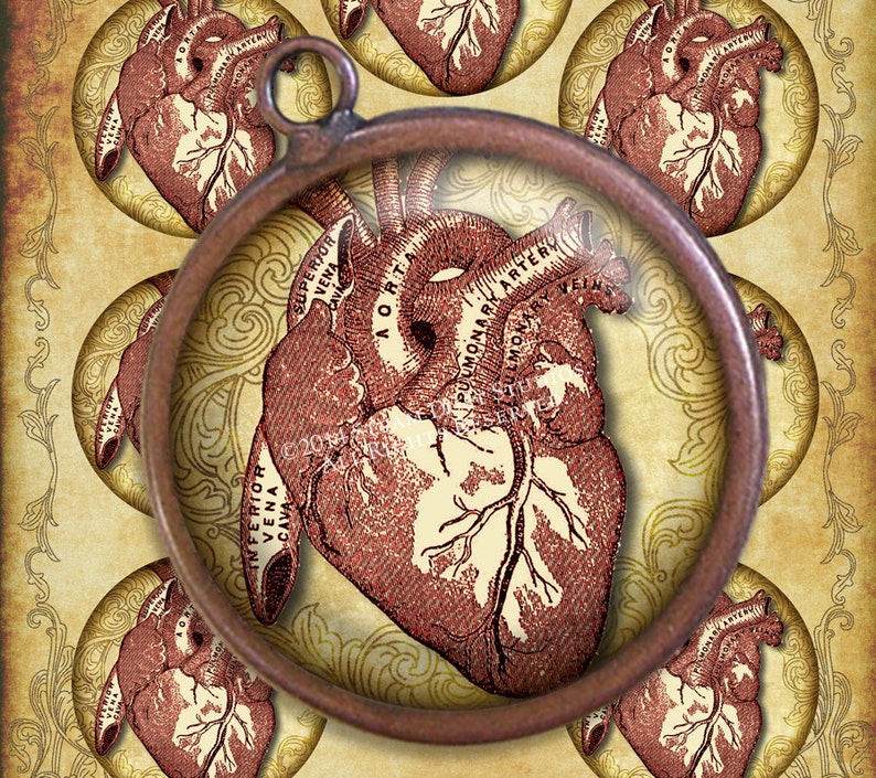 Steampunk Goth Victorian Anatomy Antique Medical Illustration Hearts 2.5 inch Circles Digital Collage, Printables, Instant Download image 1